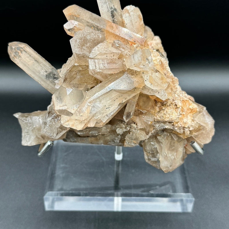 Smoky Quartz Cluster - 503g
