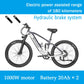 Nathaniel electric bike,27.5