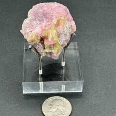 Watermelon Tourmaline Specimen - 74g