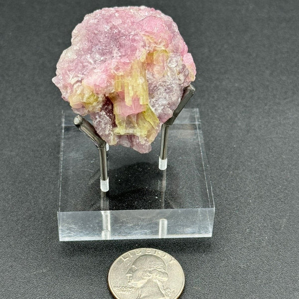 Watermelon Tourmaline Specimen - 74g