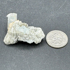 Aquamarine Specimen - 22g