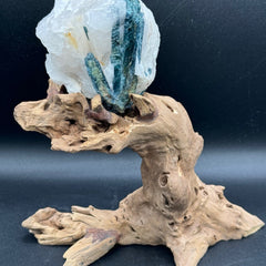 Blue Tourmaline & Driftwood