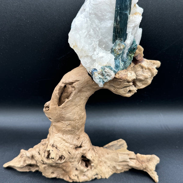 Blue Tourmaline & Driftwood