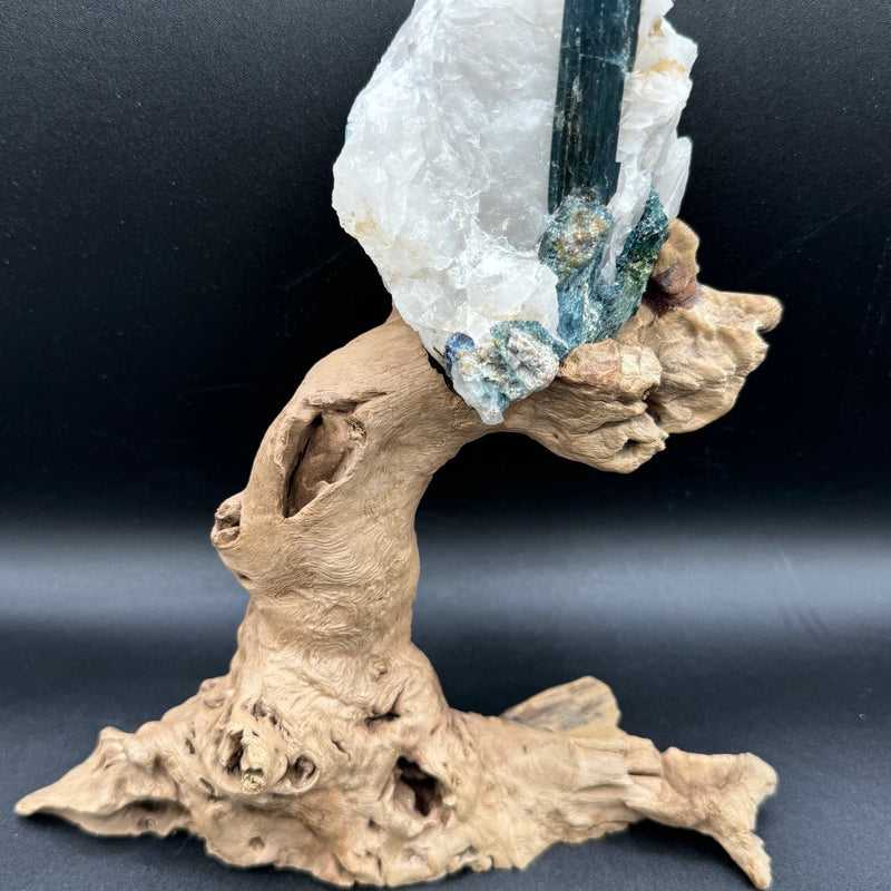 Blue Tourmaline & Driftwood