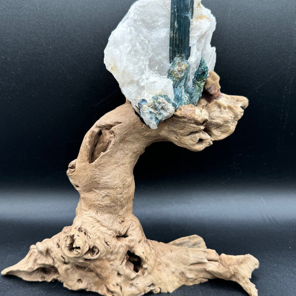 Blue Tourmaline & Driftwood