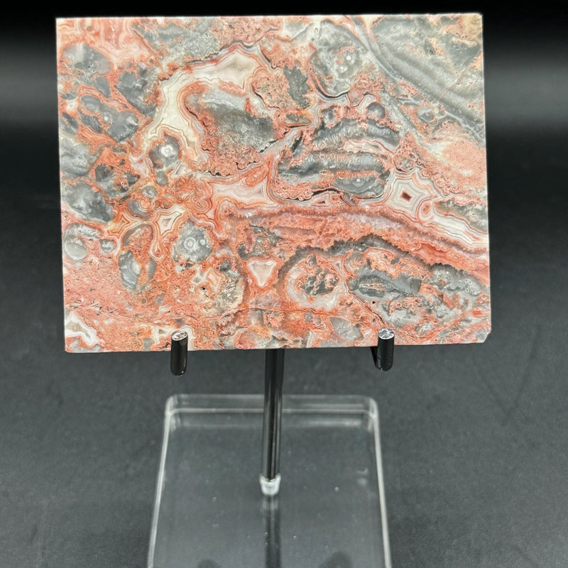 Crazy Lace Agate Slab