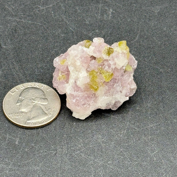 Watermelon Tourmaline Specimen - 24g
