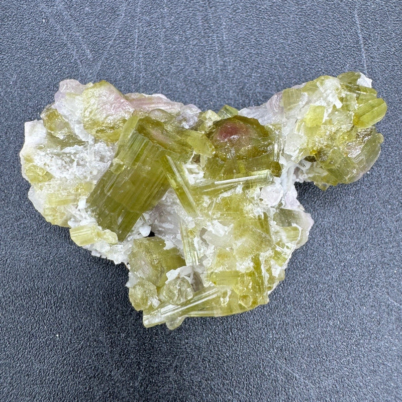 Watermelon Tourmaline Specimen - 23g