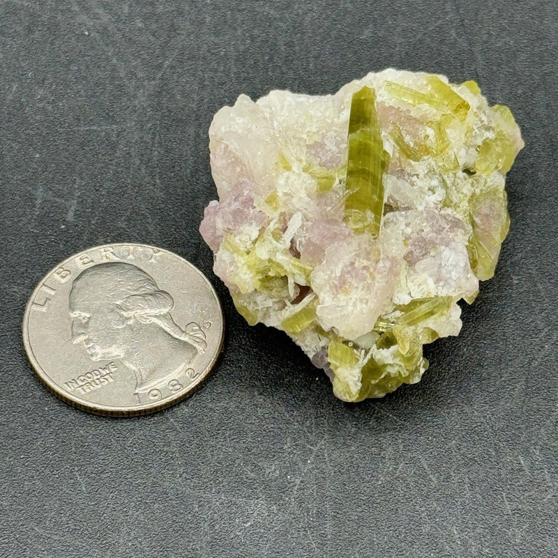 Watermelon Tourmaline, Premium Grade - 34g